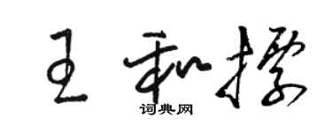 骆恒光王和标草书个性签名怎么写