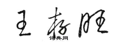 骆恒光王存旺草书个性签名怎么写
