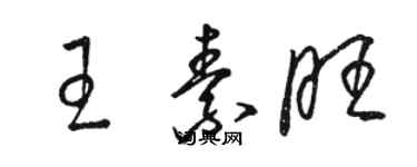 骆恒光王素旺草书个性签名怎么写