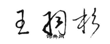 骆恒光王羽杉草书个性签名怎么写