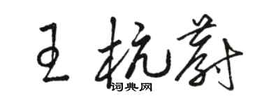 骆恒光王杭蔚草书个性签名怎么写