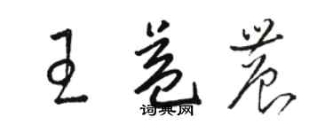 骆恒光王益农草书个性签名怎么写