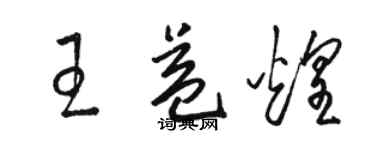 骆恒光王益煌草书个性签名怎么写