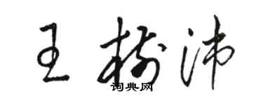 骆恒光王树沛草书个性签名怎么写