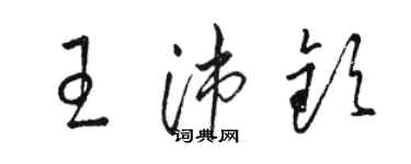 骆恒光王沛钦草书个性签名怎么写