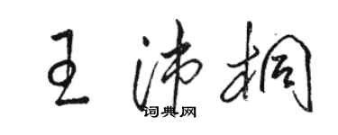骆恒光王沛桐草书个性签名怎么写