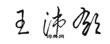 骆恒光王沛郁草书个性签名怎么写