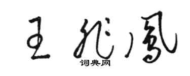 骆恒光王非凤草书个性签名怎么写