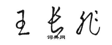 骆恒光王长非草书个性签名怎么写