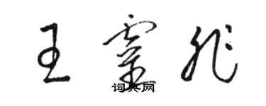 骆恒光王灵非草书个性签名怎么写