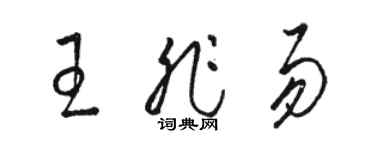 骆恒光王非易草书个性签名怎么写