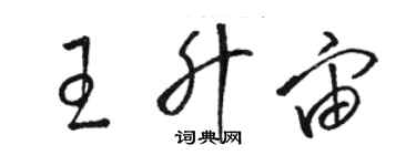 骆恒光王升宙草书个性签名怎么写