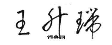 骆恒光王升瑞草书个性签名怎么写