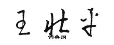 骆恒光王壮平草书个性签名怎么写