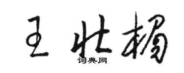 骆恒光王壮楣草书个性签名怎么写