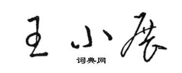 骆恒光王小展草书个性签名怎么写