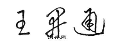 骆恒光王开通草书个性签名怎么写