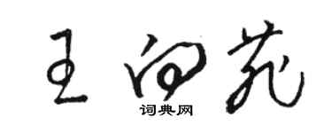 骆恒光王向菲草书个性签名怎么写