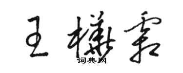 骆恒光王桦霜草书个性签名怎么写