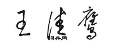 骆恒光王佳鹰草书个性签名怎么写