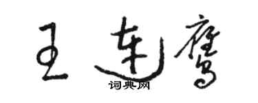 骆恒光王连鹰草书个性签名怎么写