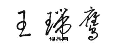 骆恒光王瑞鹰草书个性签名怎么写