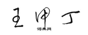骆恒光王甲丁草书个性签名怎么写