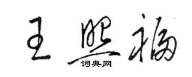 骆恒光王照福草书个性签名怎么写