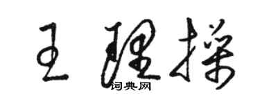 骆恒光王理操草书个性签名怎么写