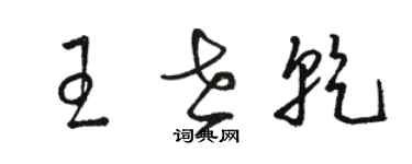 骆恒光王世乾草书个性签名怎么写