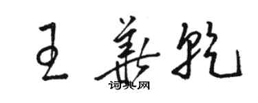 骆恒光王华乾草书个性签名怎么写