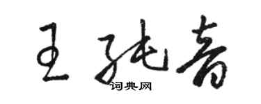 骆恒光王纯音草书个性签名怎么写