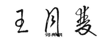 骆恒光王月双草书个性签名怎么写