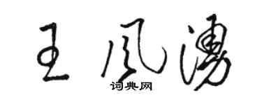骆恒光王风涌草书个性签名怎么写