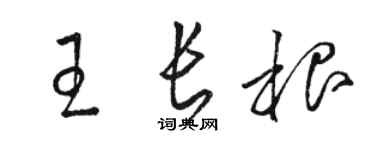 骆恒光王长根草书个性签名怎么写
