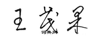 骆恒光王茂果草书个性签名怎么写