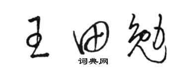 骆恒光王田勉草书个性签名怎么写