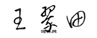 骆恒光王翠田草书个性签名怎么写