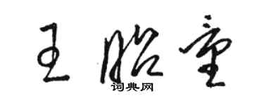 骆恒光王昭量草书个性签名怎么写