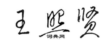 骆恒光王照贤草书个性签名怎么写