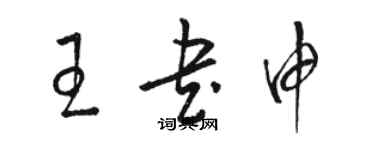 骆恒光王书申草书个性签名怎么写