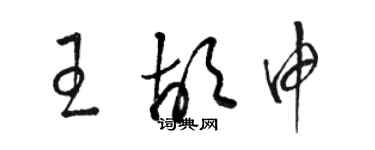 骆恒光王胡申草书个性签名怎么写