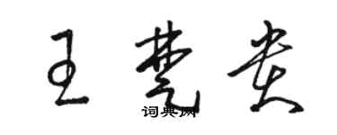 骆恒光王楚贵草书个性签名怎么写
