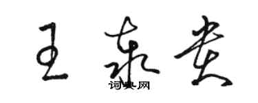 骆恒光王泰贵草书个性签名怎么写