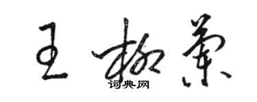 骆恒光王柳兰草书个性签名怎么写