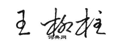 骆恒光王柳柱草书个性签名怎么写