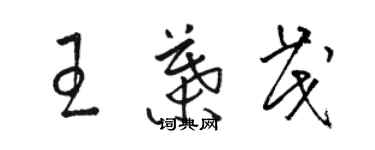 骆恒光王叶茂草书个性签名怎么写