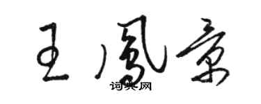 骆恒光王凤景草书个性签名怎么写