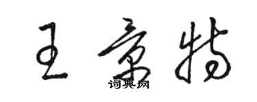 骆恒光王景特草书个性签名怎么写