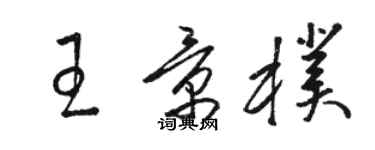 骆恒光王景朴草书个性签名怎么写